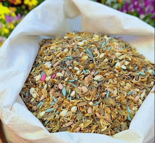 🔥Last day clearance💝Mixed Perennial Flowers Seeds-Over 50 kinds mixed