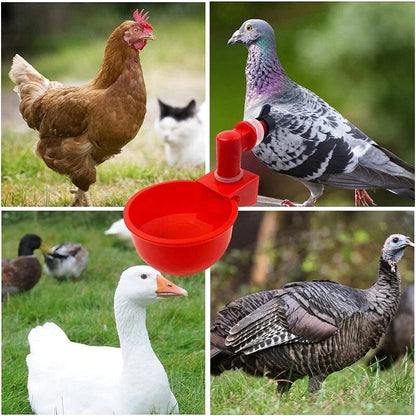 💥Last Day 50% Off--🔥Automatic Chicken Water Cup Bird Coop