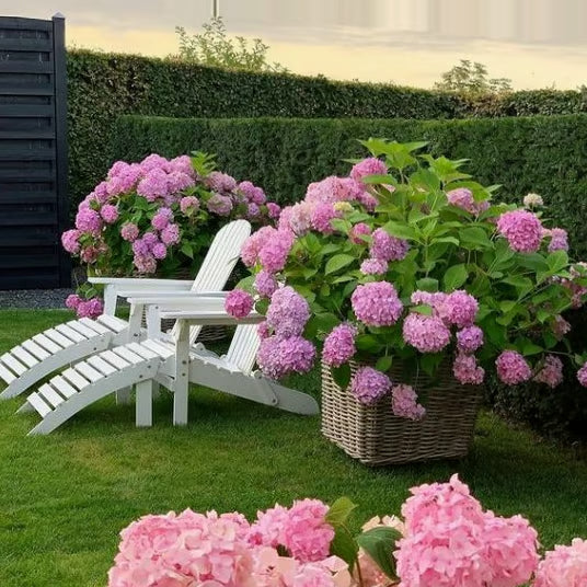 💥Artificial Hydrangea Flowers💐